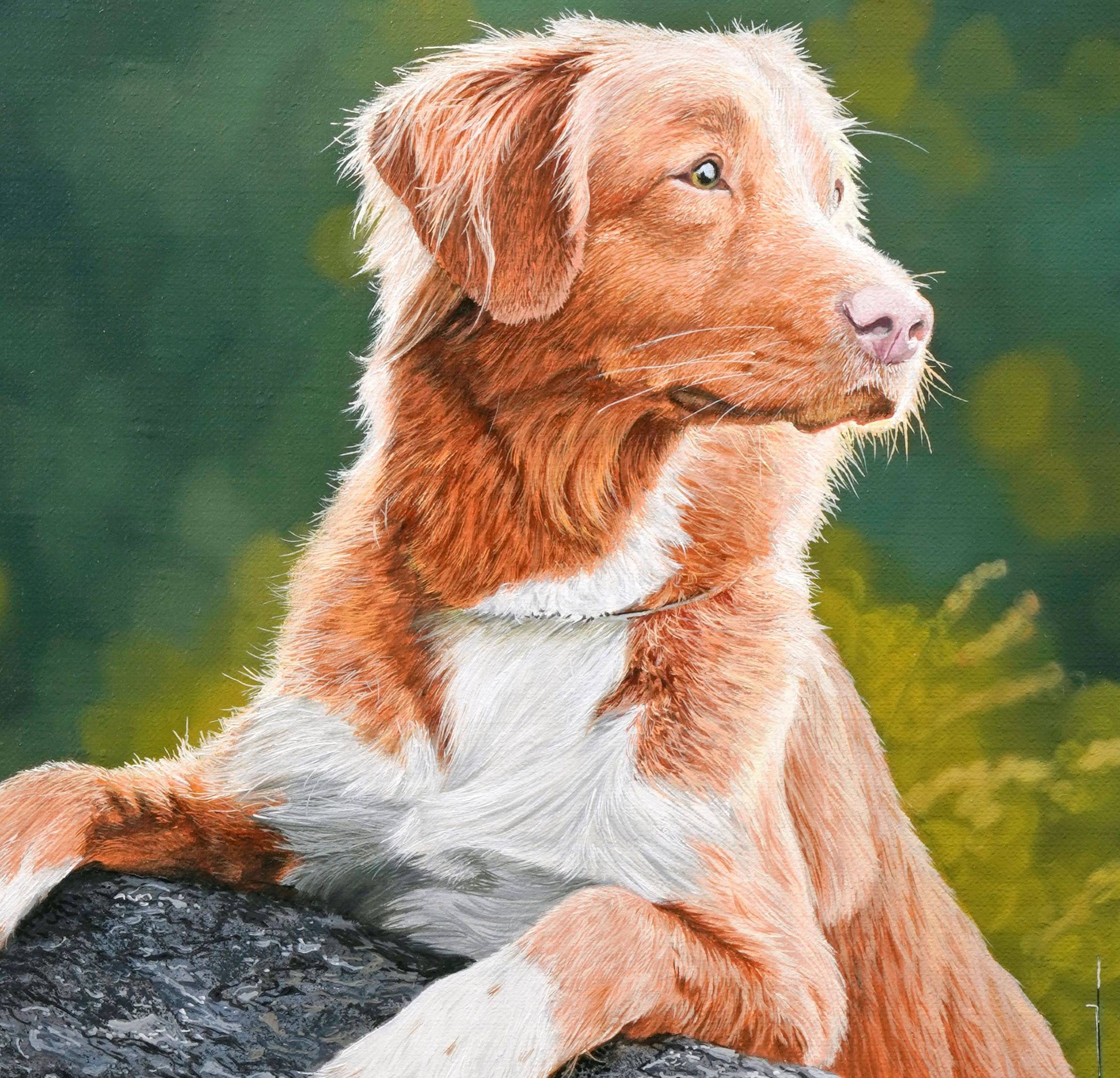 New Lesson 'Dog on a Log' Now available on MJS Tv