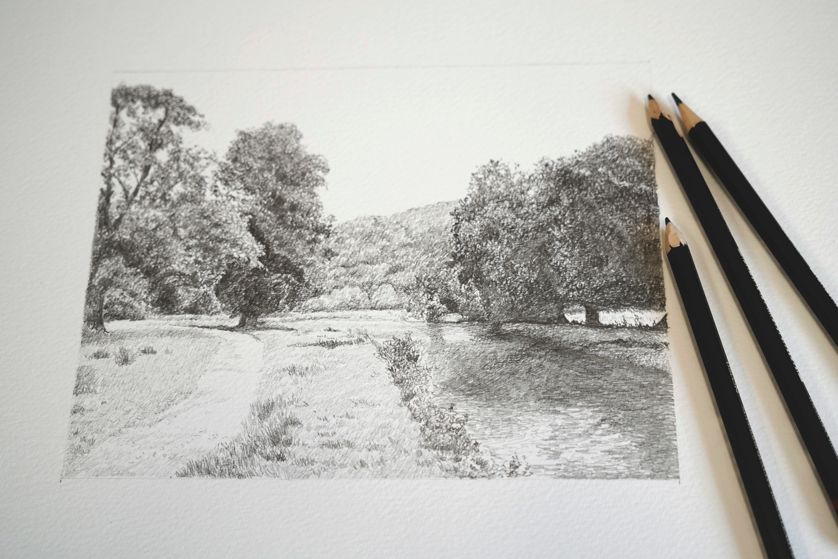 Original Pencil Sketches