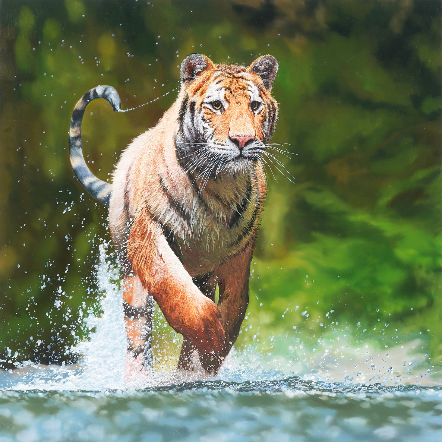 "King of the Forest" Original Oil Painting