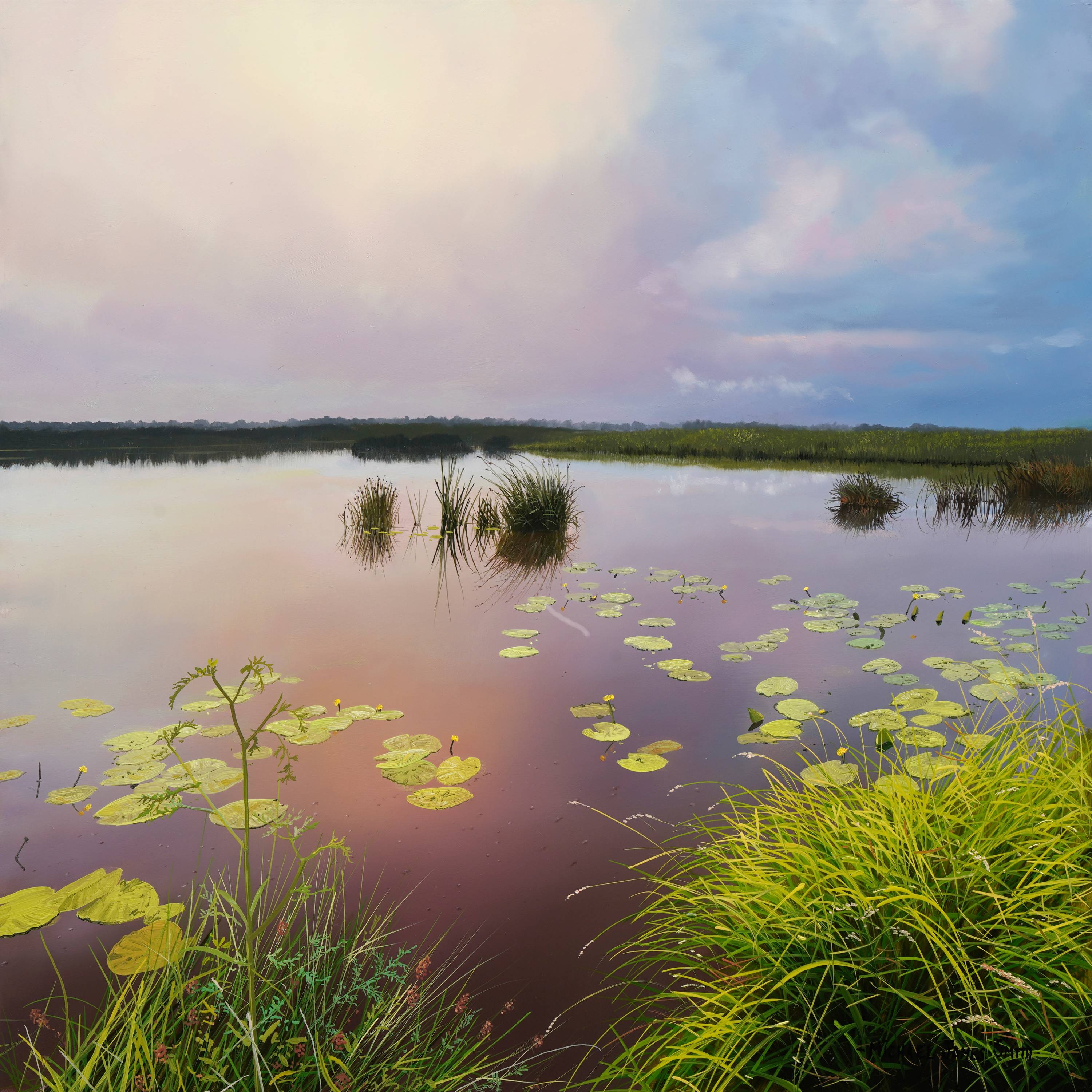 New Lesson 'Stormy Lake' Now Available on MJS Tv