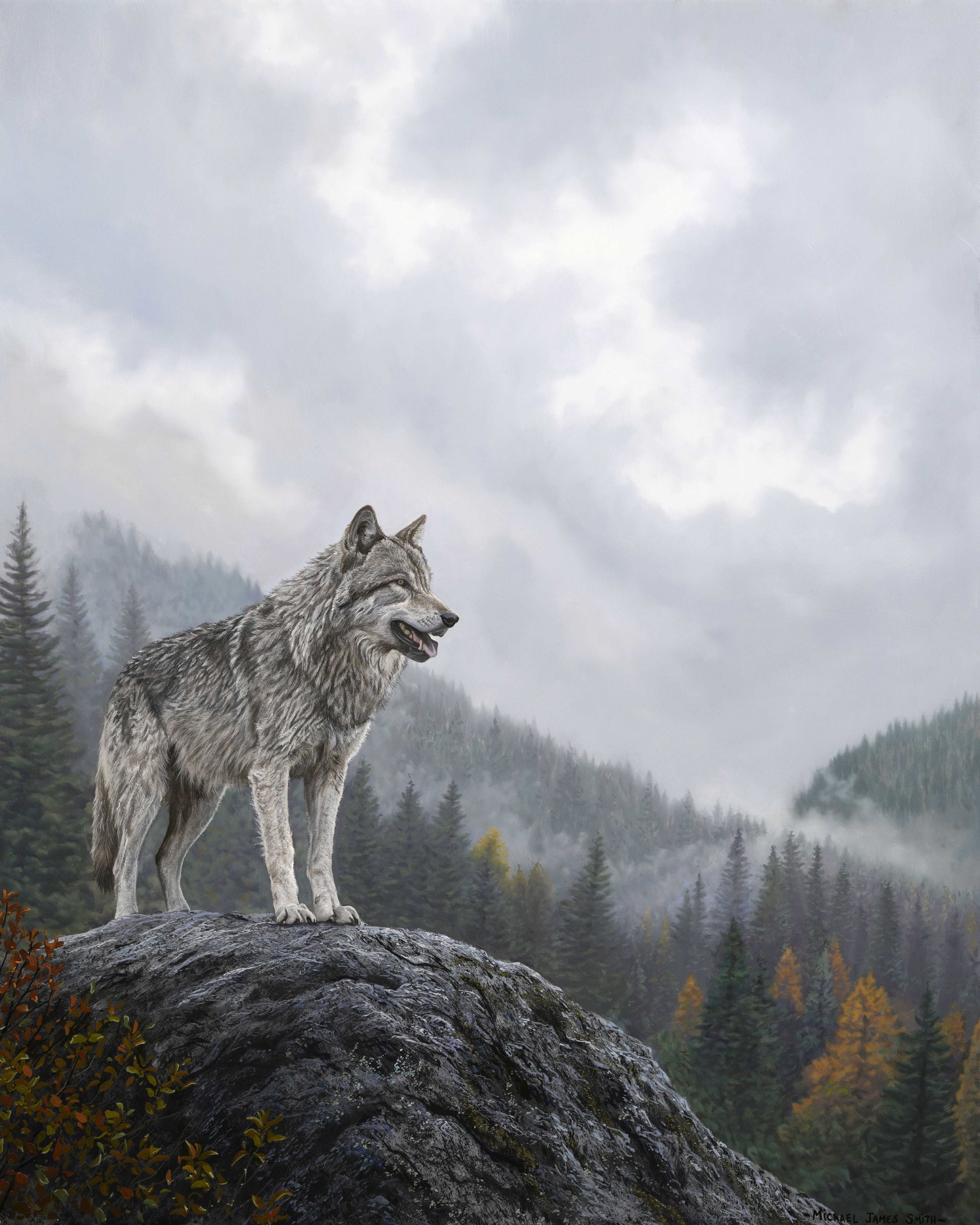 New Lesson 'The Edge of Wilderness' Just Released