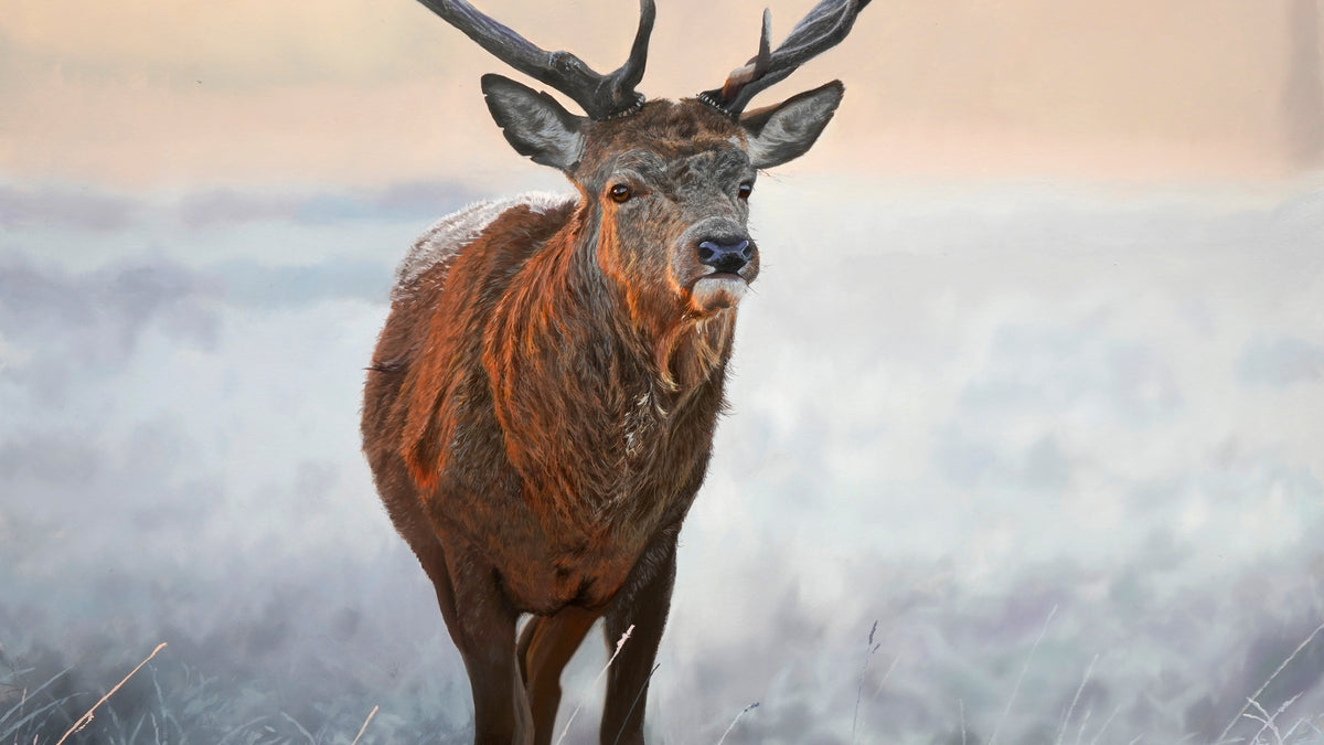 Winter Stagg Winter Stag Lesson Now Live!