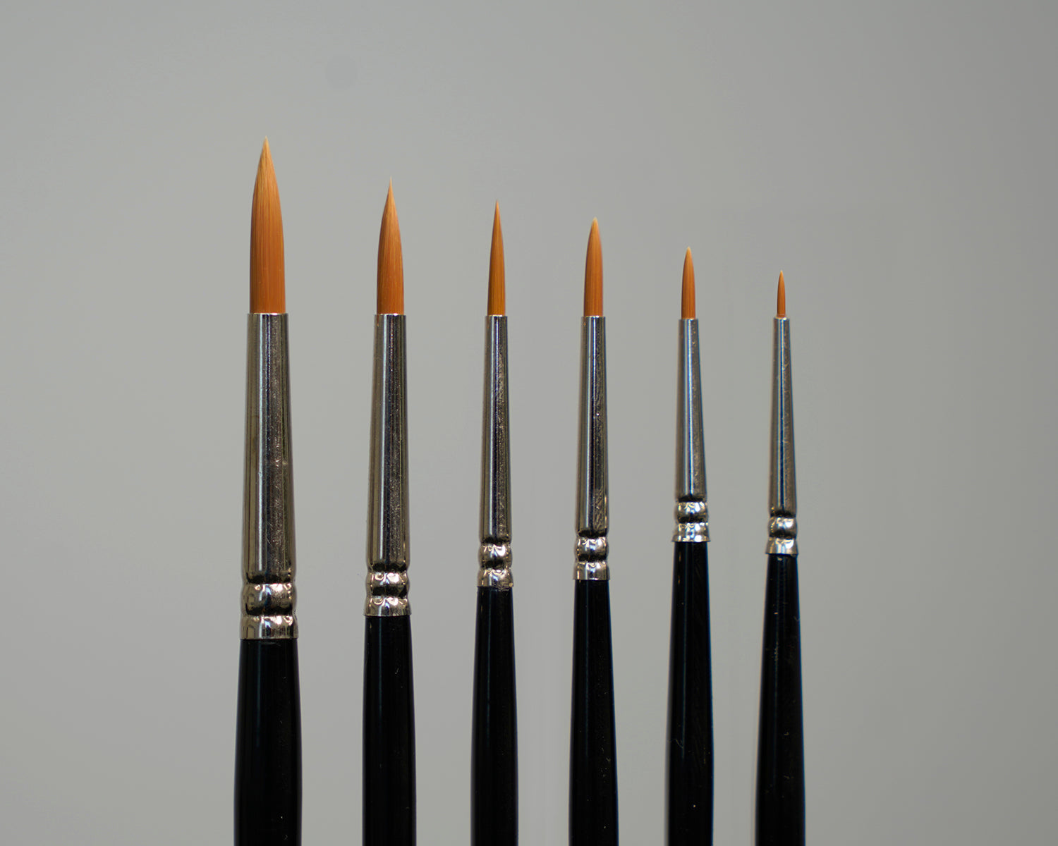 Pointed Brush Variety  Set - Series 2